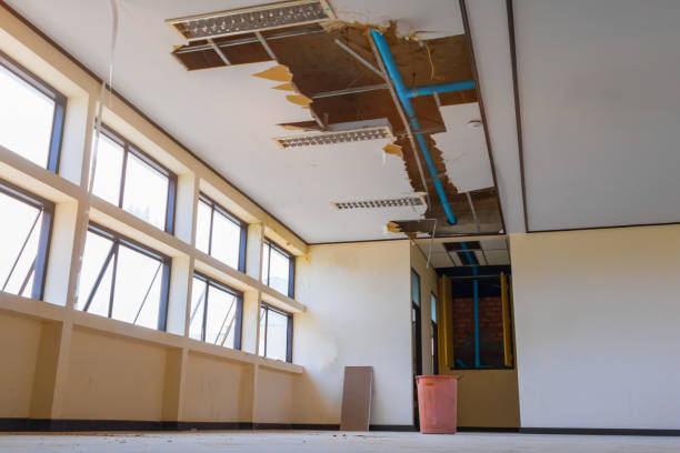 Best Flood restoration services  in Mapleton, MN