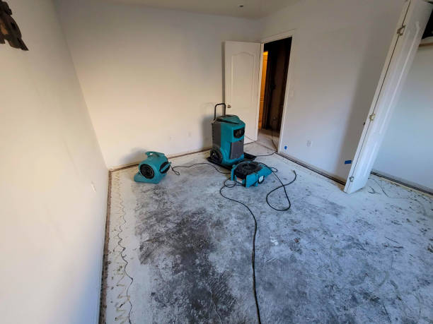  Mapleton, MN Water damage restoration Pros