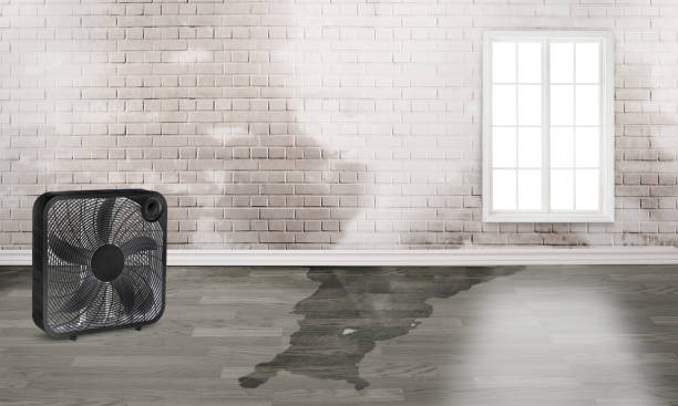 Best Water damage restoration cost  in Mapleton, MN