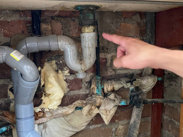 Best Ceiling water damage repair  in Mapleton, MN