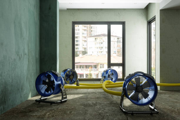 Best Fire Damage Restoration  in Mapleton, MN