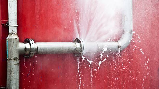 Best Fire Damage Restoration  in Mapleton, MN
