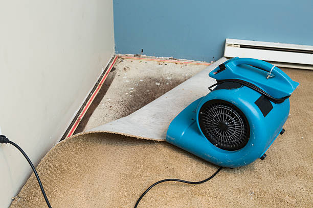 Mapleton, MN Water damage restoration Company